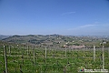 VBS_0978 - Torre dei Contini - Canelli (AT)